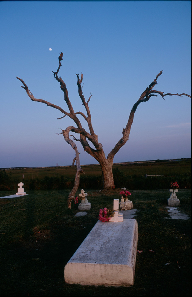 From the book "America's Wetland/Louisiana's Vanishing Coast"