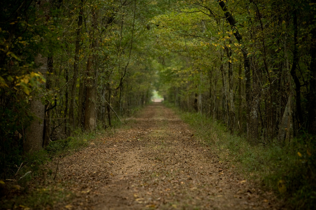 From the book "St. Francisville/Louisiana's River Bluff Country"