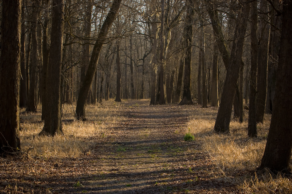 From the book "St. Francisville/Louisiana's River Bluff Country"