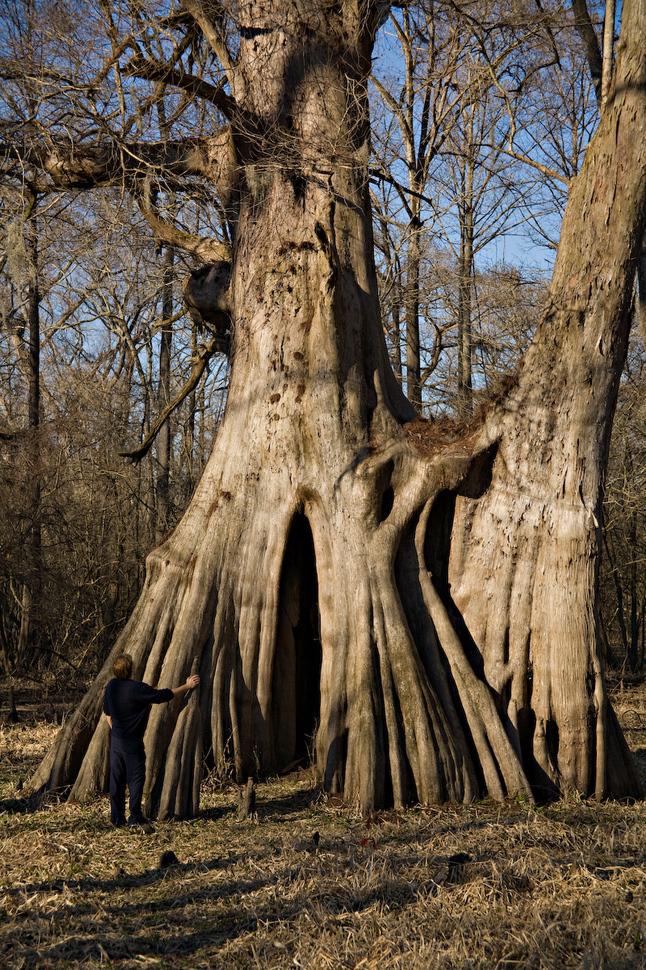 From the book "St. Francisville/Louisiana's River Bluff Country"